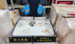 苏州海关查获34件濒危动物制品 总重284克