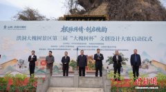 “大槐树杯”文创设计大赛向海内外征集作品